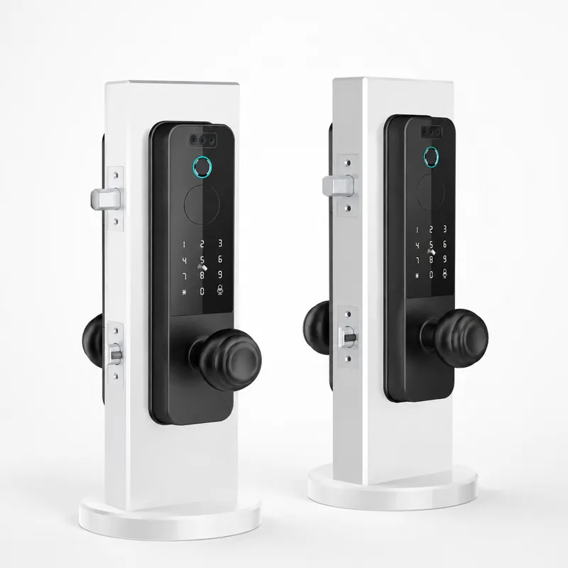 Cross-border Wooden Door Lock  - Smart Door Lock Wifi 评论和价格